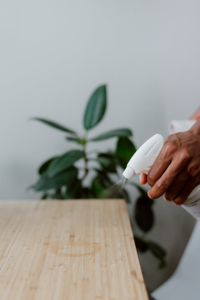 services-03 A hand using a spray bottle to clean a wooden table indoors, with a plant in the background.