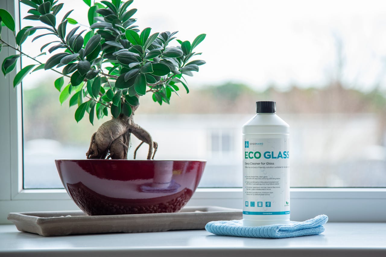 hero-img-02 Eco glass cleaner and bonsai plant on a windowsill in a calm indoor setting.